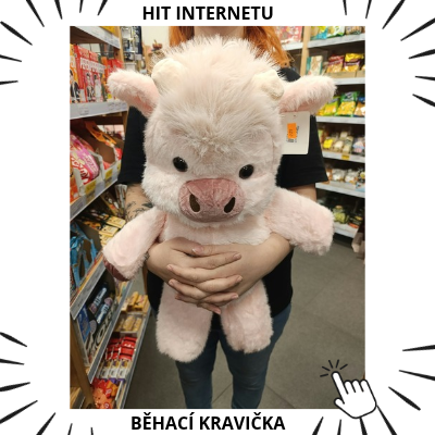 Běhací kravička